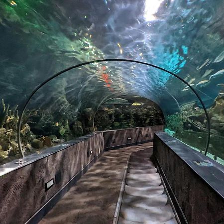 ガトリンバーグ Movie Theater Hot Tub View Mountain Escapeヴィラ エクステリア 写真